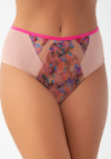 Gorsenia Brazyliany Vivian K929