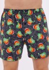 Cornette Bokserki Classic 2024J 3-5Xl