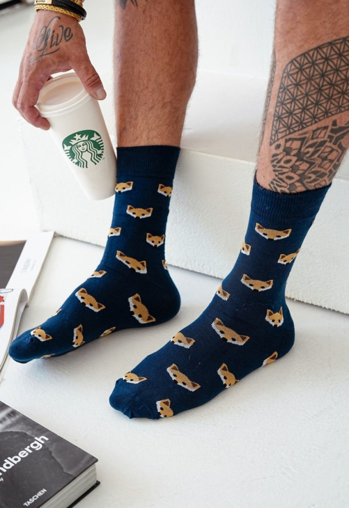 Milena Skarpetki Męskie Avangard Lisie Głowy 0125.095