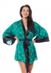 Anais Peniuar Aster Robe Green
