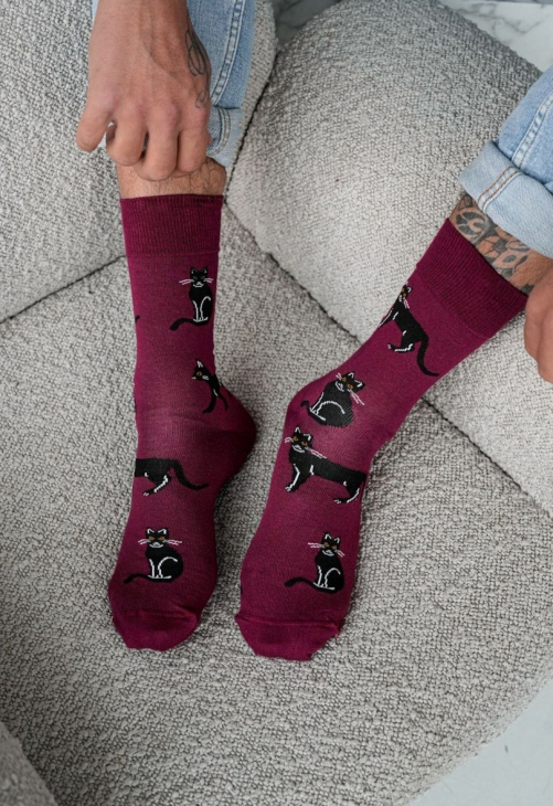 Milena Skarpetki Męskie Koty 0125.034