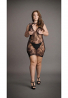 Le Désir High Neck Lace Mini Dress - Plus Size