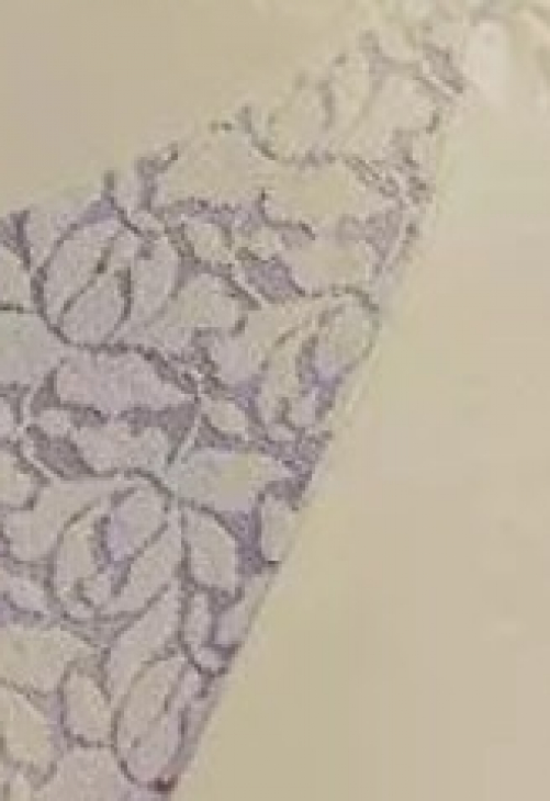 Emili FIGI EMILI TONIA BEZ