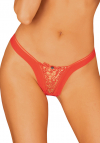 Obsessive Larisya Stringi