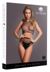 Le Désir 2 piece with crop top,pantie and fishnet structure.