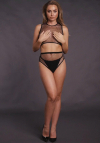 Le Désir 2 piece with crop top,pantie and fishnet structure.