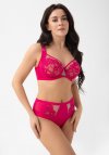 Gorsenia Brazyliany Amaris B029