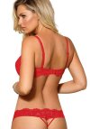 Róża Stringi Model Newia 120364 Red